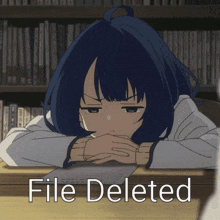 File Deleted