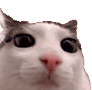 :blink: